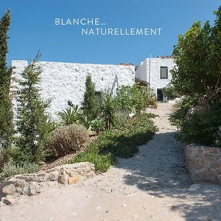 Psilalonia : Chambres D'hotes De Charme Sur L'ile De Leros Drymonas